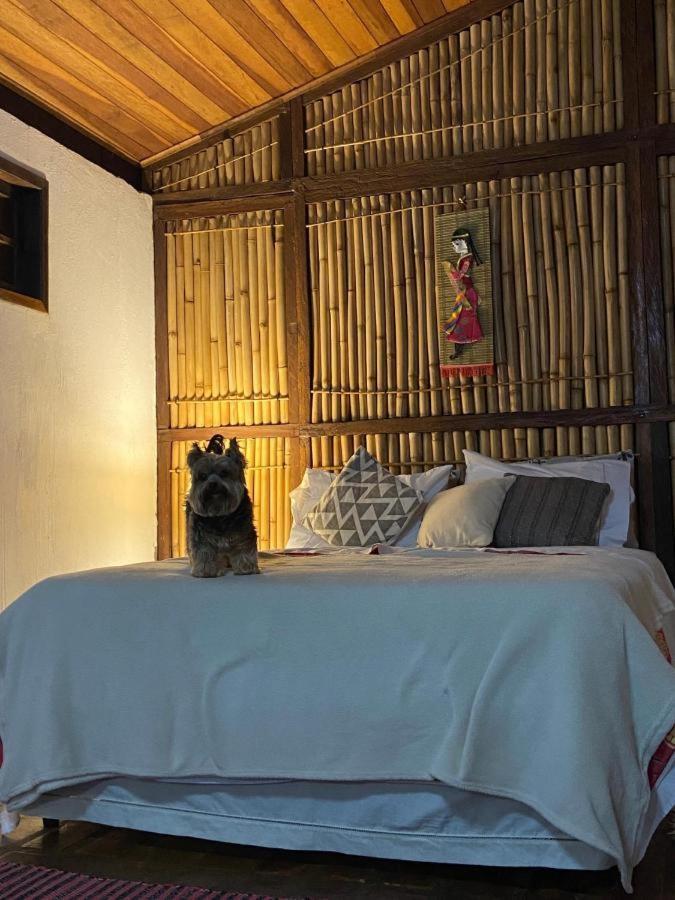 库尼亚Chale Na Montanha别墅 外观 照片